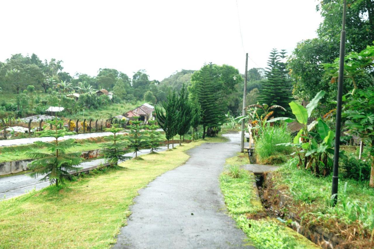 Tunjung Sari Villa Bedugul Bedugul  Exterior foto